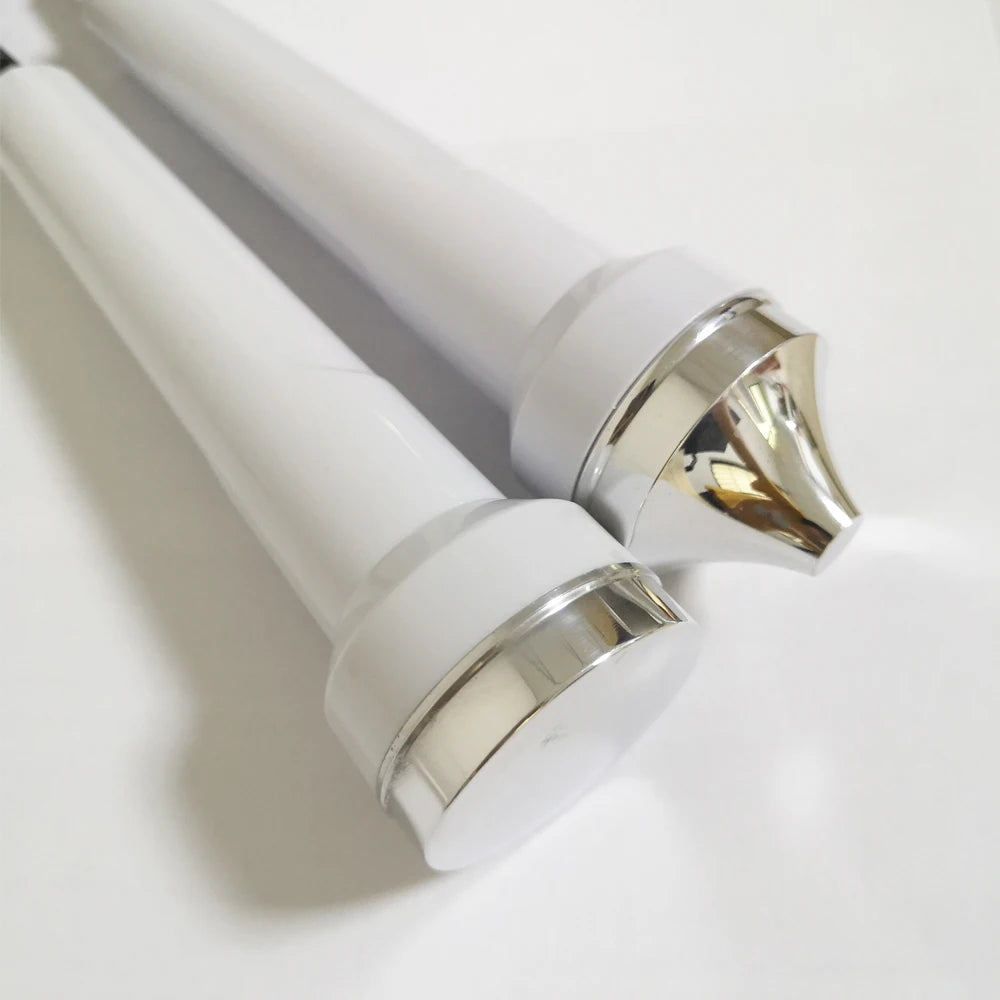 Sonde faciale pour appareil à ultrasons, embout plat de massage, 1 MHz, 628T, 638A, H3231, WD628, accessoires pour le visage, soins de la peau